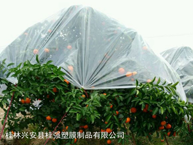 金桔專(zhuān)用膜