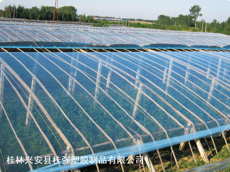 西瓜專(zhuān)用膜